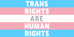 Trans Rights are Human Rights Flag